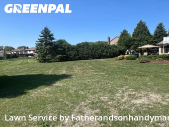 Lawn Servicein Palatine,60067,Yard Mowing by Fatherandsonhandyman, work completed in Oct , 2025