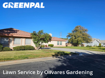Modern Landscaping In Palmdale,93551,Landscapers by Olivares Gardening , work completed in Dec , 2025