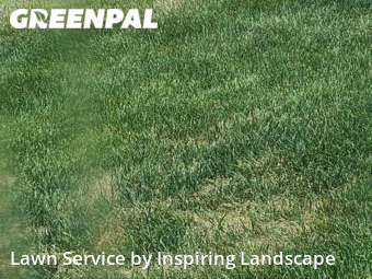 Lawn Servicein Castle Rock,80104,Yard Mowing by Inspiring Landscape, work completed in Nov , 2025