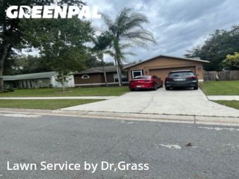 Yard Cutting nearby Lutz, FL, 