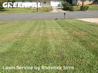 Yard Care in Clarkston, 30021, Lawn Services by Roderick Sims, work completed in Nov , 2025