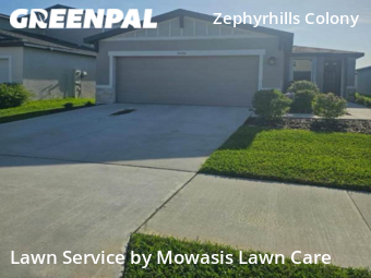 Lawn Maintenance nearby Zephyrhills, FL, 