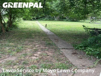Lawn mowed in Parkville, 21234