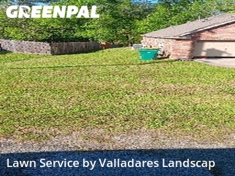 Grass Cut nearby Spring, TX, 