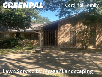 Lawn Mowingin Irving,75062,Grass Cut by Alcazar Landscaping, work completed in Nov , 2025