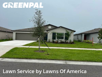 Lawn Cutting nearby Wimauma, FL, 