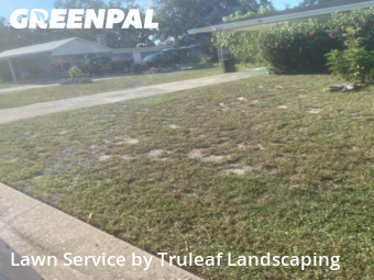 Lawn Cutting nearby Bradenton, FL, 