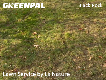 Yard Mowing nearby Bridgeport, CT, 