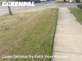 Lawn Mowing Service nearby Fort Worth, TX, 