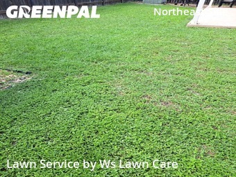 Lawn Servicein Converse,78109,Yard Mowing by Ws Lawn Care, work completed in Jun , 2026