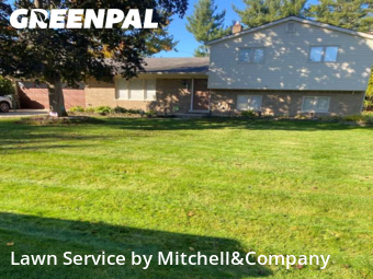 Grass Cutting nearby Shelby Township, MI, 