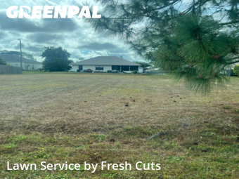 Grass Cutting nearby Palm Bay, FL, 