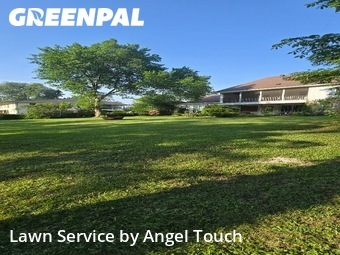 Lawn Mowingin Lafayette,70503,Lawn Mowing by Angel Touch , work completed in Jun , 2026