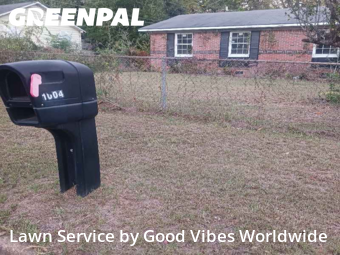 Weed Trimming in Albany, 31701, Lawn Work by Good Vibes Worldwide, work completed in Nov , 2025