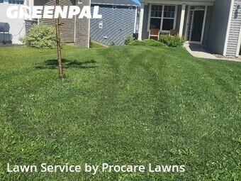 Lawn Service nearby Saint Paul, MN, 