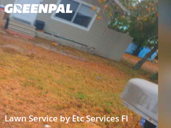 Landscaper In St. Petersburg,33714,Landscaping Maintenance by Etc Services Fl, work completed in Feb , 2026