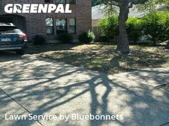 Lawn Mow nearby Cedar Park, TX, 