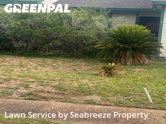 Grass Cut nearby Mary Esther, FL, 