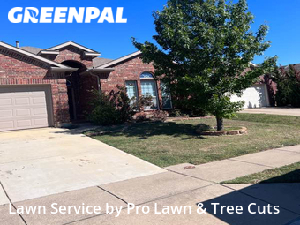 Lawn Cut nearby Fort Worth, TX, 