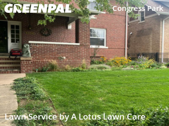 Lawn Care nearby Denver, CO, 