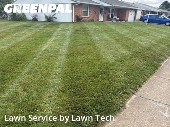 Lawn Mow nearby Xenia, OH, 