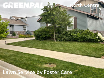 Lawn Mowing Service nearby Westminster, CO, 