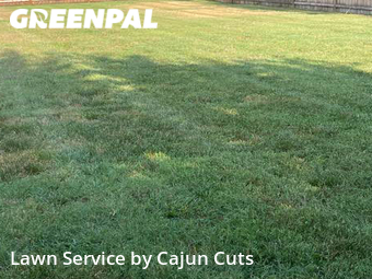 Lawn Maintenance nearby Murfreesboro, TN, 