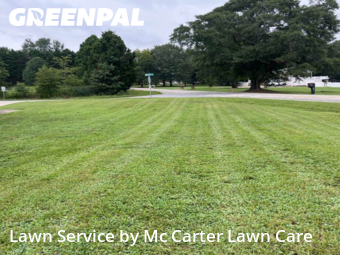 Grass Cut nearby Campobello, SC, 
