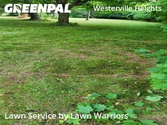 Lawn Care nearby Westerville, OH, 