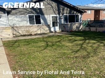 Lawn Mowing nearby Roseville, MI, 