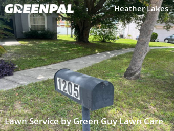 Lawn Mow nearby Brandon, FL, 