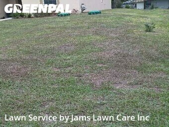 Grass Cutting nearby Spring Hill, FL, 