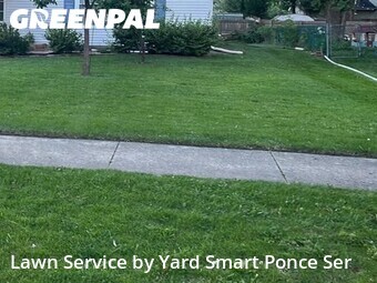 Lawn mowed in Lisle, 60532
