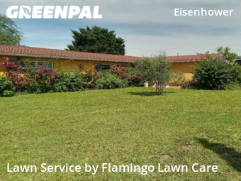 Lawn Mowing nearby Lehigh Acres, FL, 