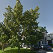 local-lawn-maintenance-contractors-in-Leander-TX