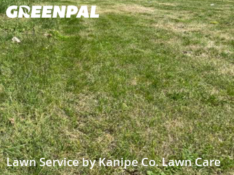 Grass Cutting nearby Kingsport, TN, 