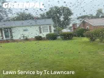 Yard Cutting nearby Augusta, GA, 