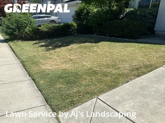 Lawn Service nearby Tracy, CA, 