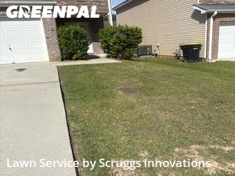 Grass Cut nearby Palmetto, GA, 