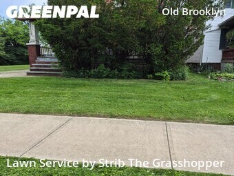 Grass Cutting nearby Cleveland, OH, 