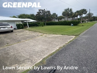 Grass Cut nearby Palm Coast, FL, 