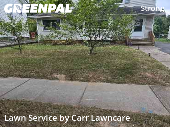 Yard Care in Rochester, 14620, Yard Cutting by Carr Lawncare, work completed in Oct , 2025