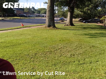 Lawn Mowing nearby Memphis, AR, 