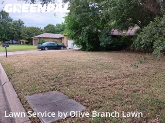 Yard Mowingin Keller,76248,Yard Cutting by Olive Branch Lawn, work completed in Nov , 2025