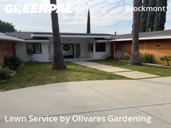 Lawn mowed in Glendale, 91202