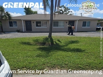 Lawn Mow nearby Cape Coral, FL, 