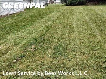 Lawn Cutting nearby Buffalo, NY, 