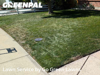 Lawn Mowing Service nearby Thornton, CO, 