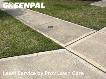 Grass Cut nearby Osceola County, FL, 