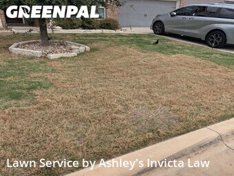 Yard Cutting nearby Temple, TX, 